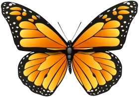 Majestic Monarch Butterfly Symmetrical Clipart Illustration Design