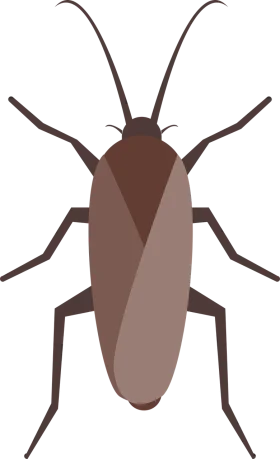 Minimalist Brown Cockroach Clipart Design with Detailed Anatomical Features
