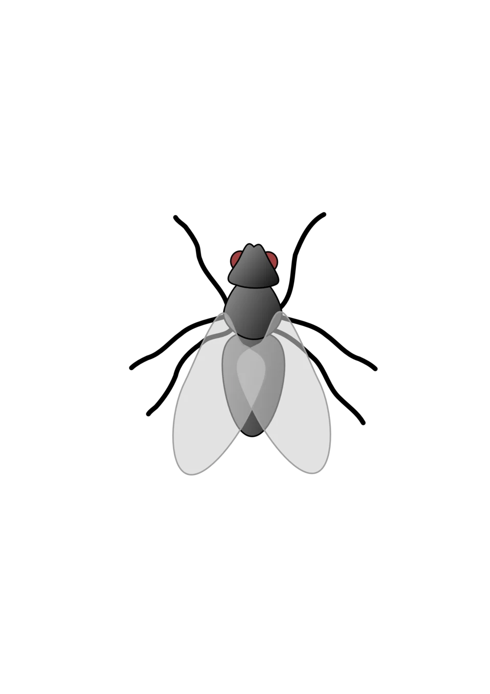Minimalist Grayscale Fly Clipart with Translucent Wing Design