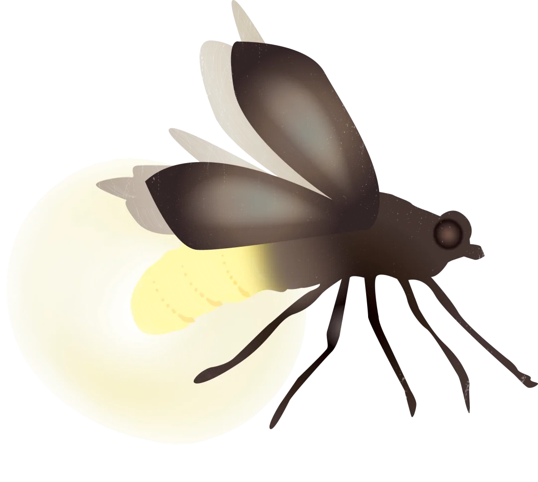 Stylized Firefly or Lightning Bug Clipart with Glowing Soft Illumination Effect