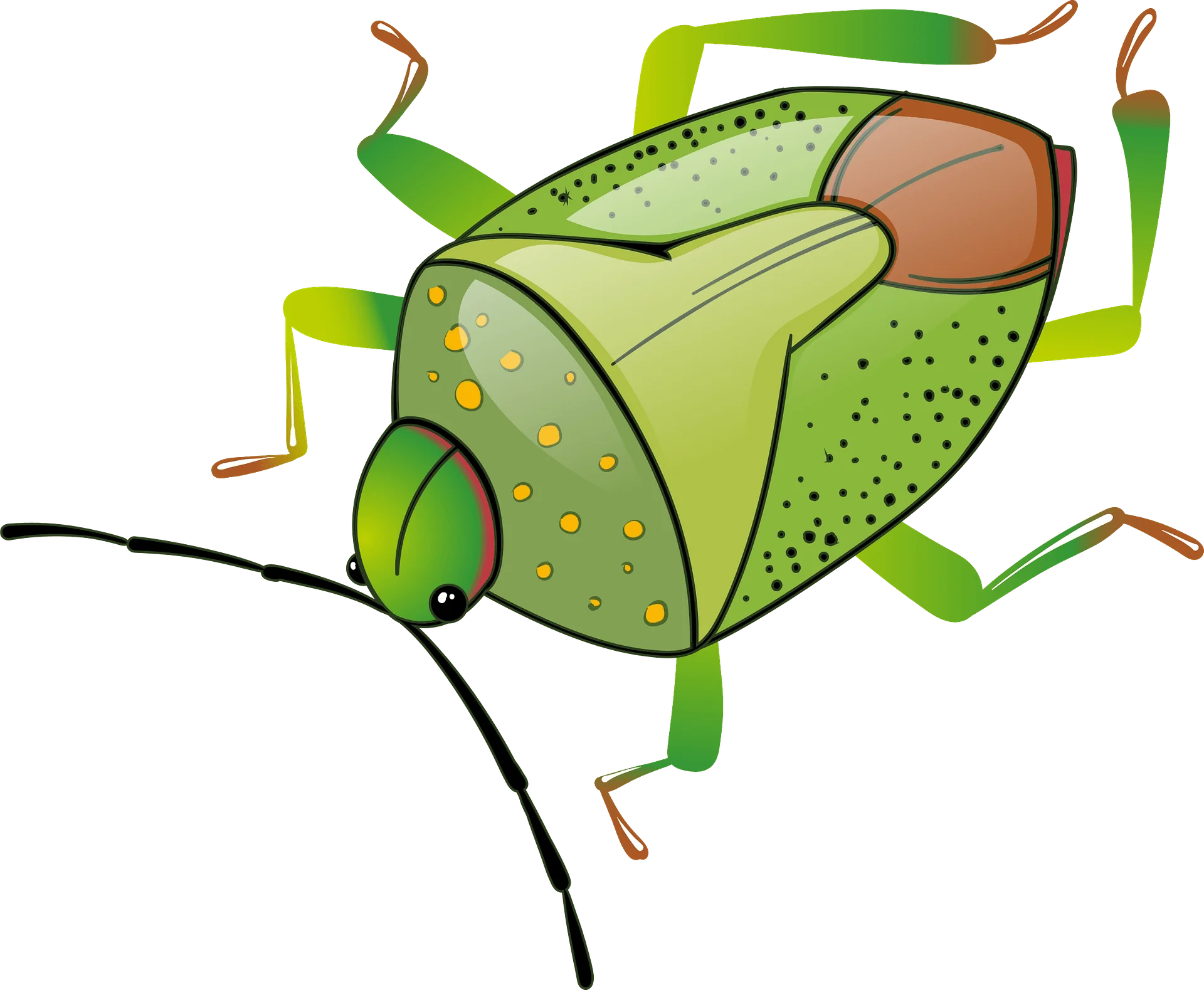 Whimsical Green Stink Bug Cartoon Clipart with Stylized Design