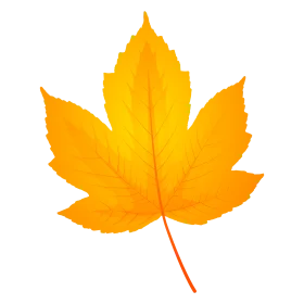 Golden Maple Leaf Clipart: Capturing the Warm Glow of Autumn's Embrace