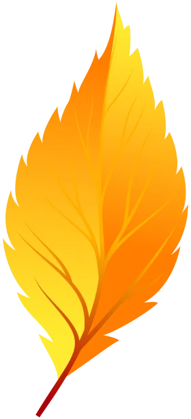 Autumn Leaf Clipart: Fiery Gradient of Seasonal Transformation in Golden Hues