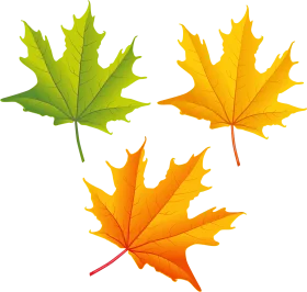 Autumn Maple Leaves Clipart: A Seasonal Symphony of Green and Golden Hues