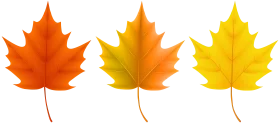 Autumn Maple Leaves Clipart: Warm Color Gradient from Orange to Yellow