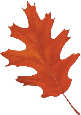 Autumn Oak Leaf Clipart: A Stunning Russet and Orange Fall Season Illustration