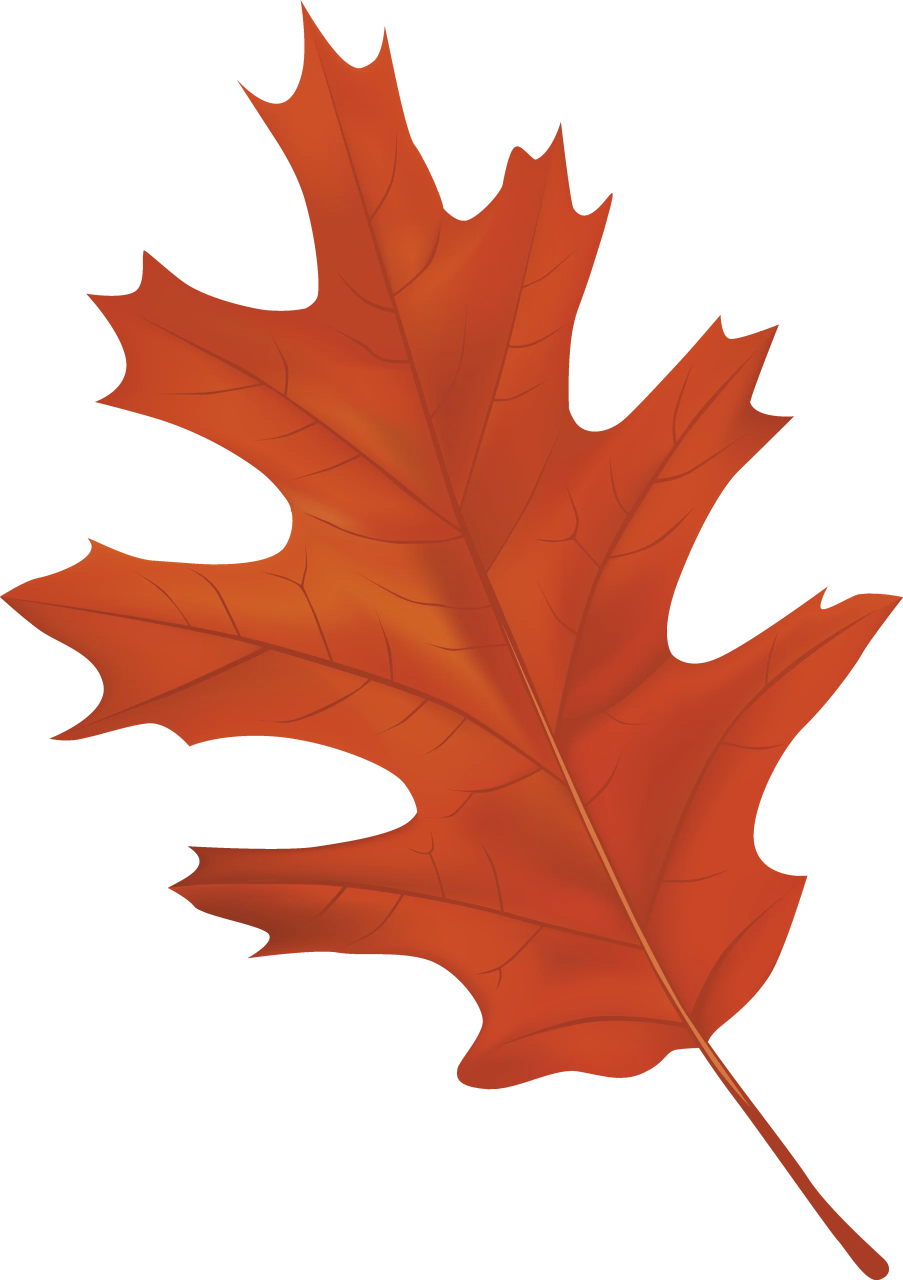 Autumn Oak Leaf Clipart: A Stunning Russet and Orange Fall Season Illustration