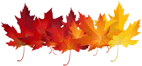Cascading Autumn Maple Leaves Clipart - A Fiery Symphony of Seasonal Colors