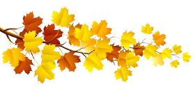 Elegant Autumn Maple Branch Clipart Showcasing Seasonal Color Transformation