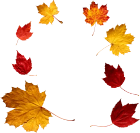 Elegant Autumn Maple Leaves Falling Gracefully - Seasonal Clipart Collection