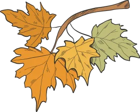 Elegant Autumn Maple Leaves Falling Gracefully - Seasonal Nature Clipart Design