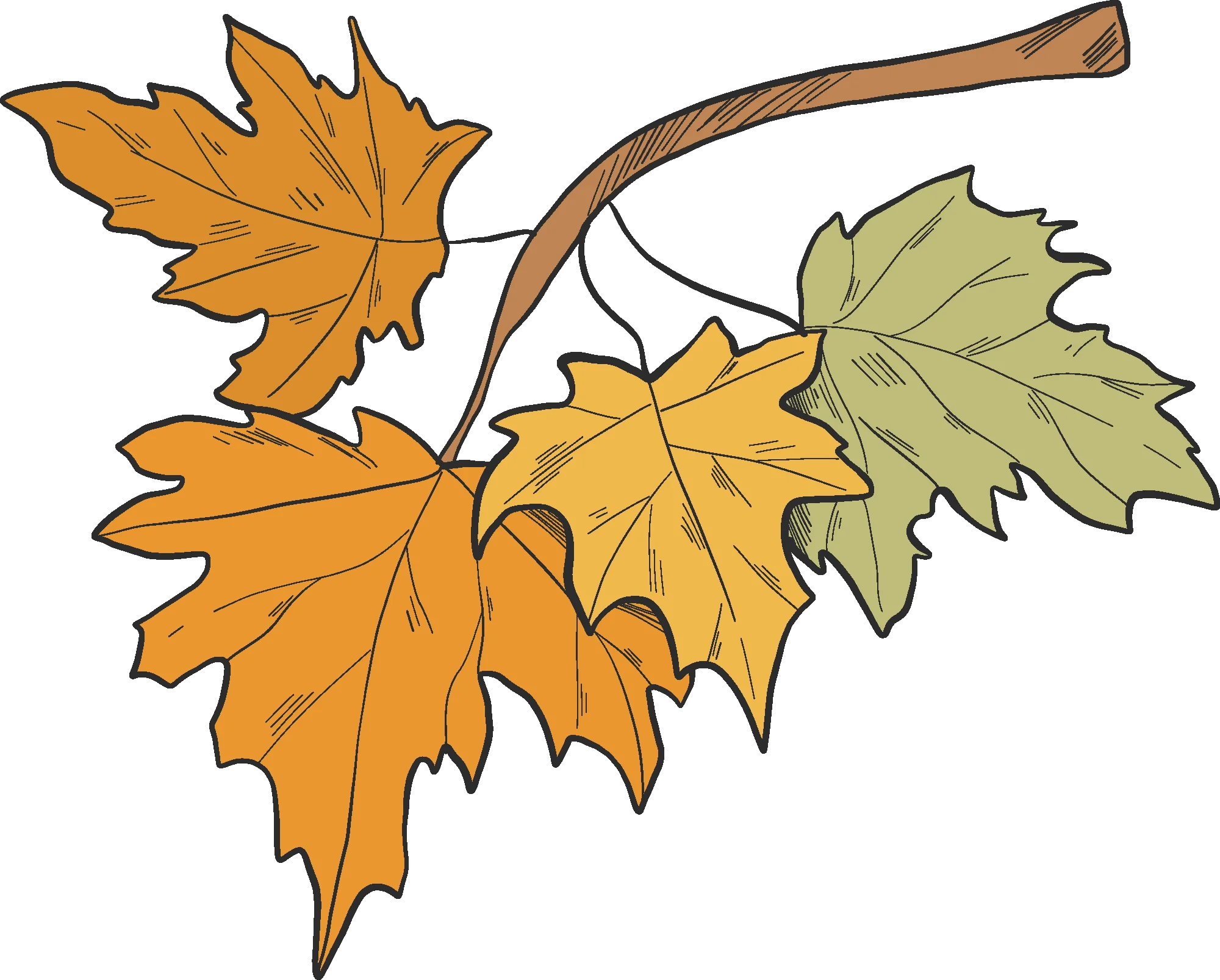Elegant Autumn Maple Leaves Falling Gracefully - Seasonal Nature Clipart Design