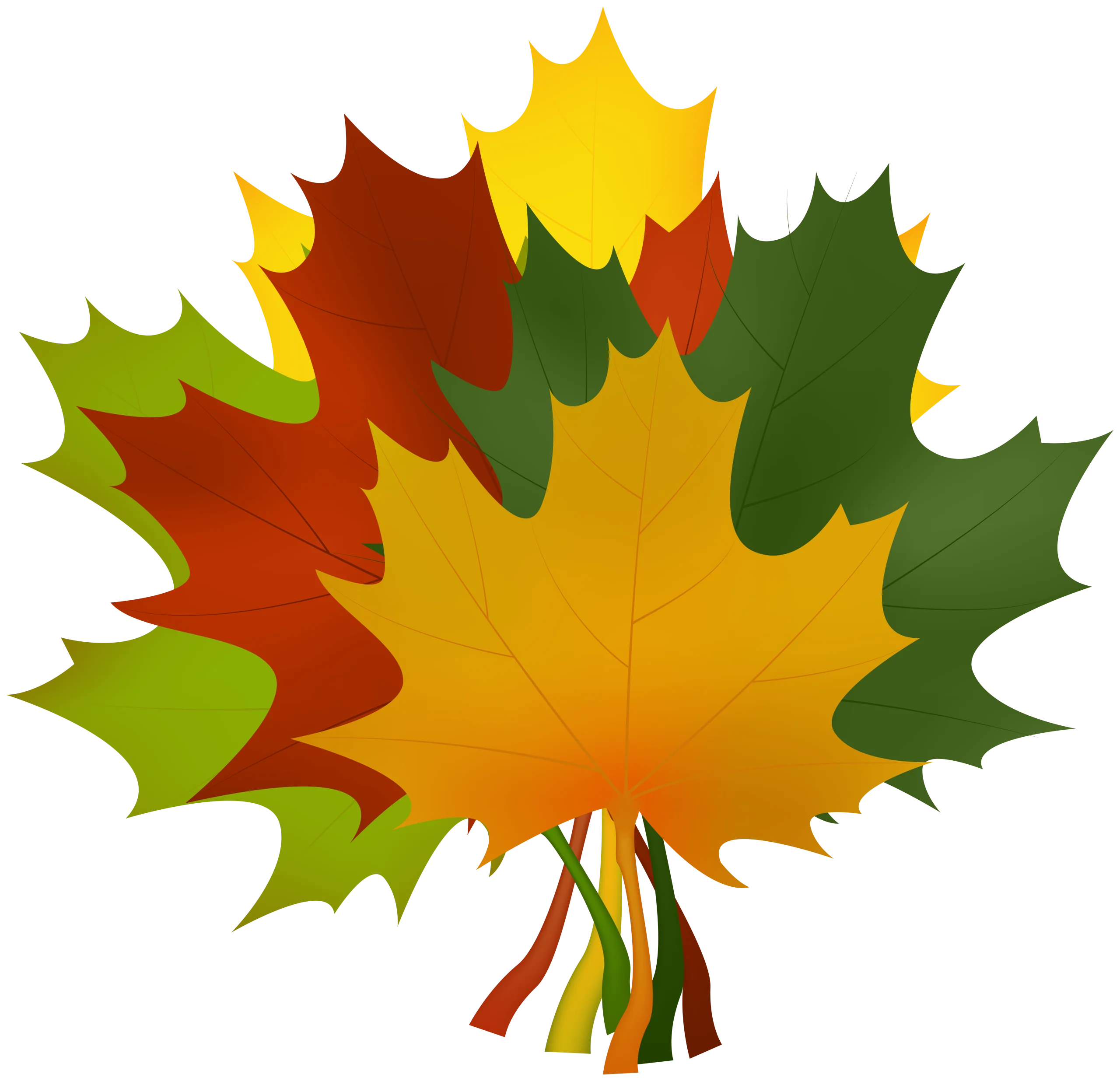 Enchanting Autumn Maple Leaves Clipart Showcasing Seasonal Color Transformation
