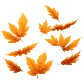 Graceful Autumn Maple Leaves Falling Softly - Seasonal Clipart Collection
