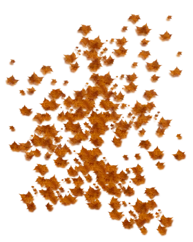 Scattered Autumn Maple Leaves Clipart - A Whimsical Fall Color Explosion