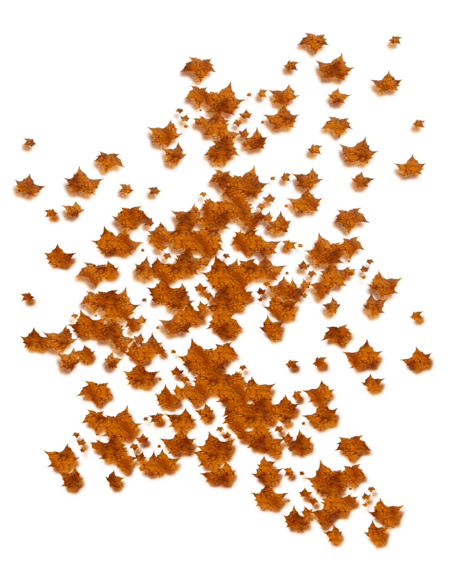 Scattered Autumn Maple Leaves Clipart - A Whimsical Fall Color Explosion