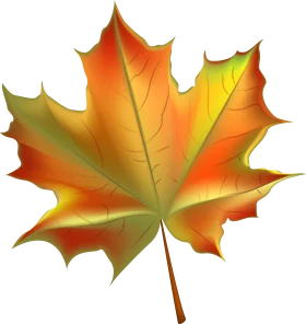Stunning Autumn Maple Leaf Clipart with Warm Golden Orange Gradient Colors