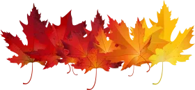 Stunning Autumn Maple Leaves Gradient Clipart Showcasing Seasonal Color Transformation