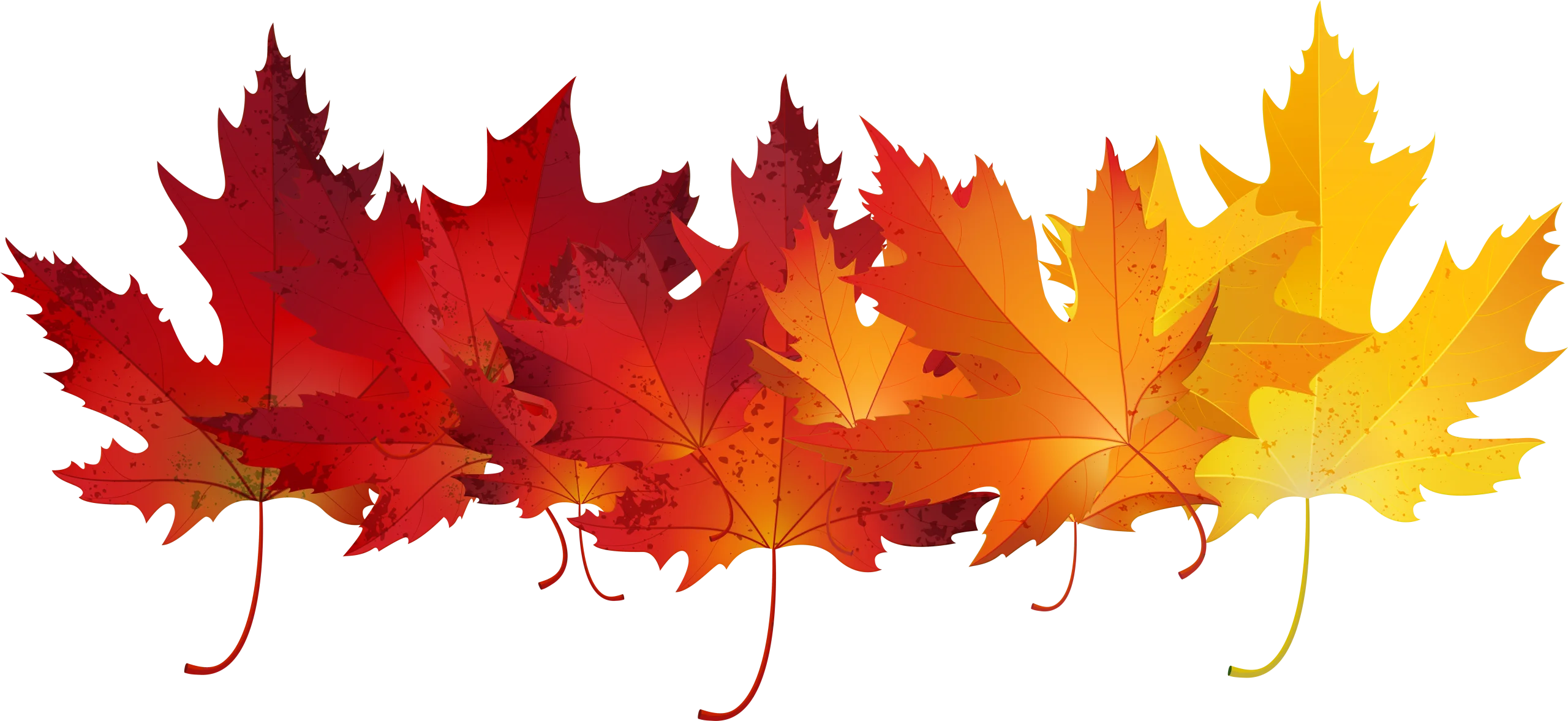 Stunning Autumn Maple Leaves Gradient Clipart Showcasing Seasonal Color Transformation
