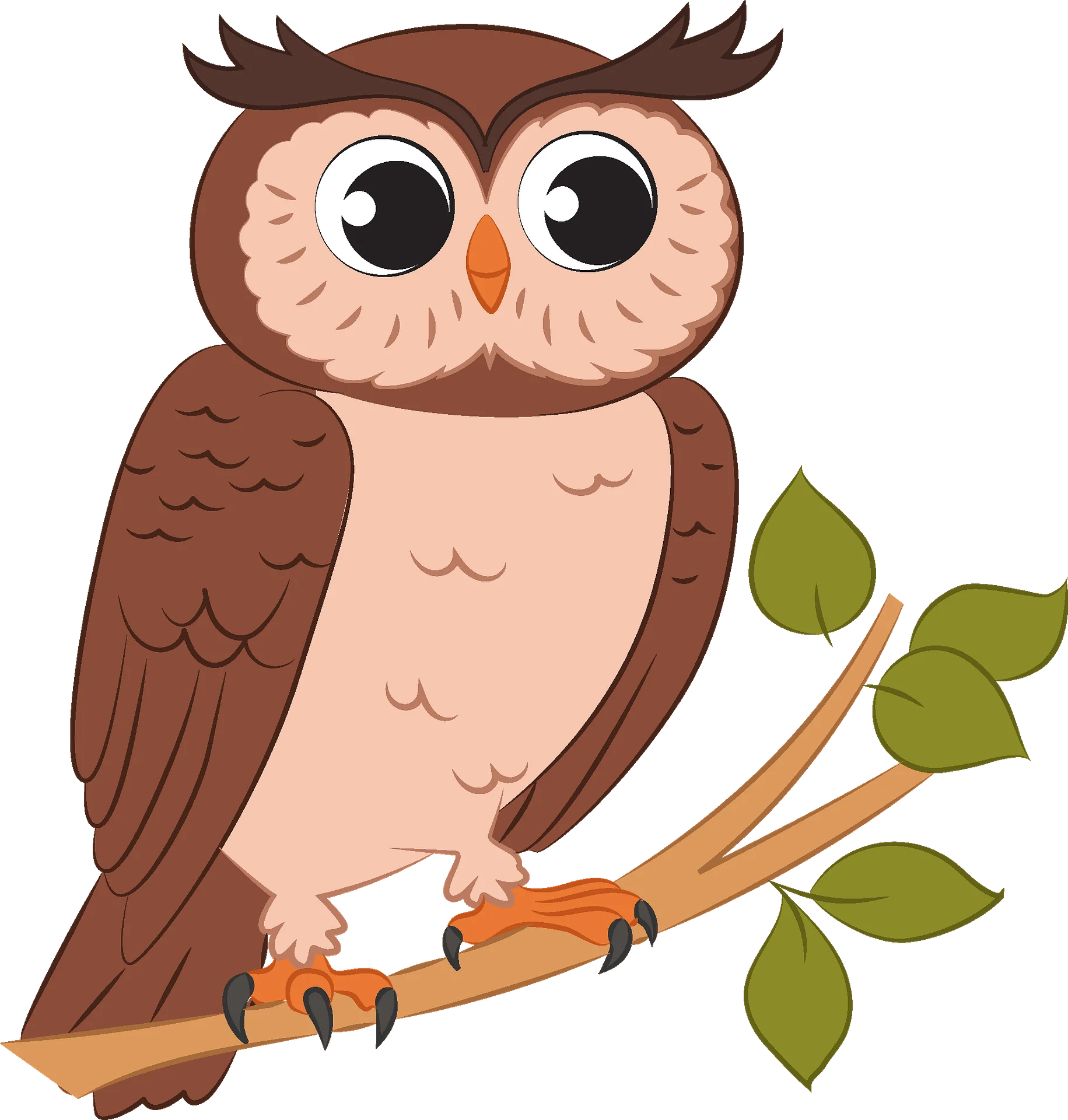 Adorable Woodland Owl Perched on Branch - Whimsical Nature Clipart Design