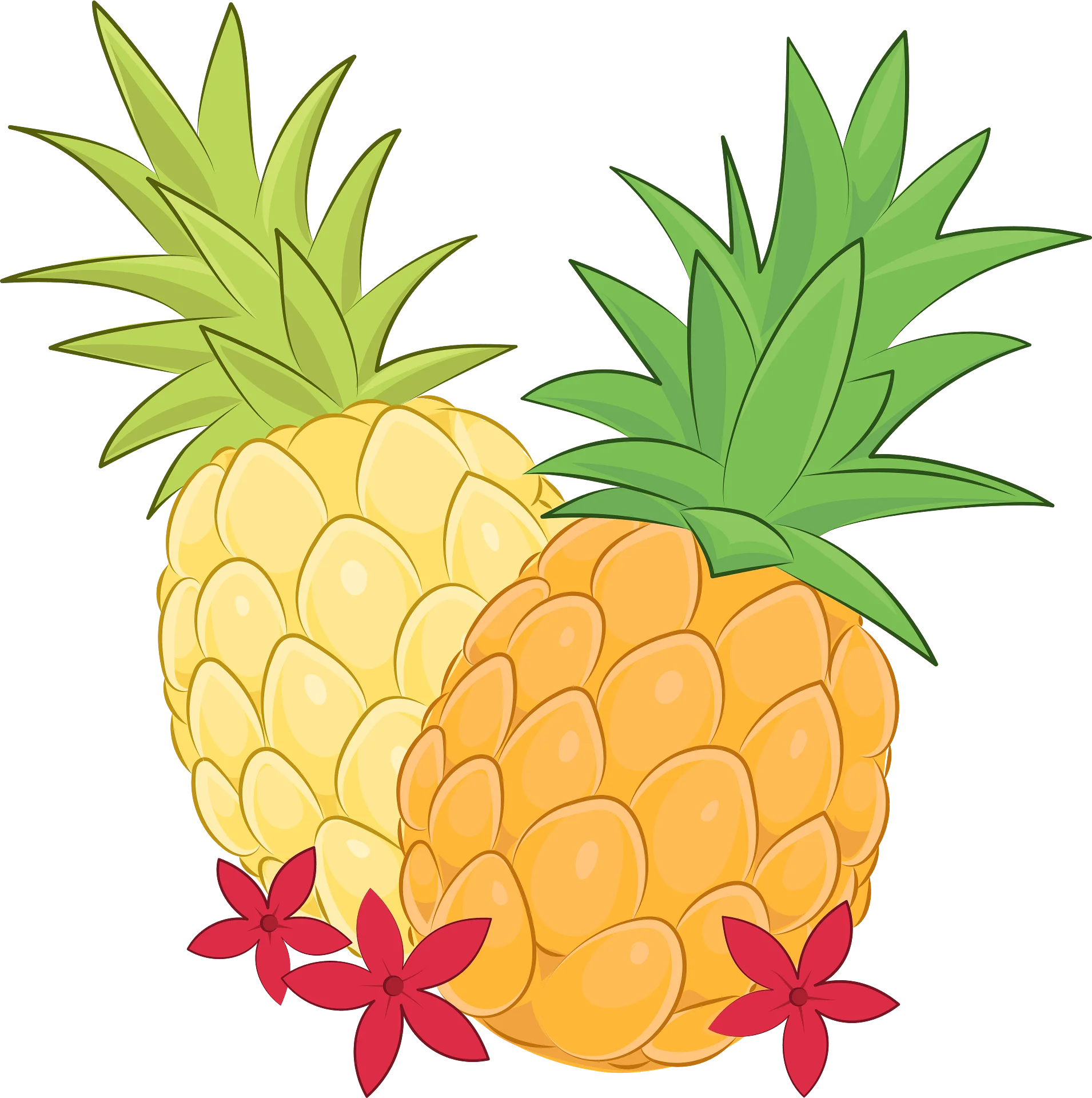 Cheerful Tropical Pineapples and Red Blossoms Exotic Fruit Clipart Illustration