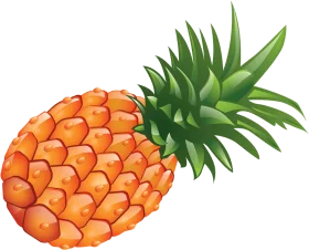Juicy Orange and Green Tropical Pineapple Fruit Clipart Design Element