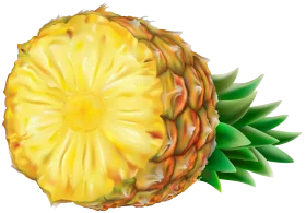 Realistic Fresh Pineapple Clipart with Detailed Cross-Section Illustration