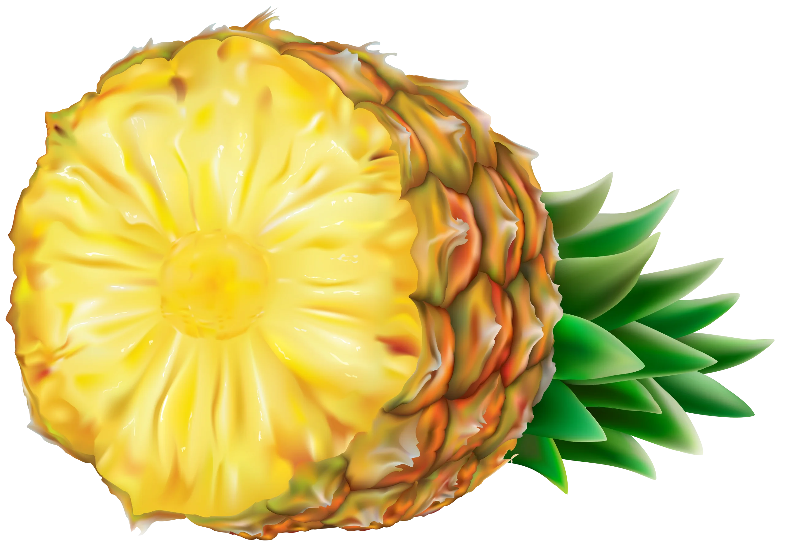 Realistic Fresh Pineapple Clipart with Detailed Cross-Section Illustration
