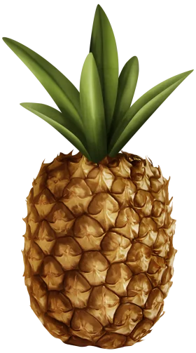 Realistic Golden-Brown Pineapple Tropical Fruit Clipart with Lush Green Leaves