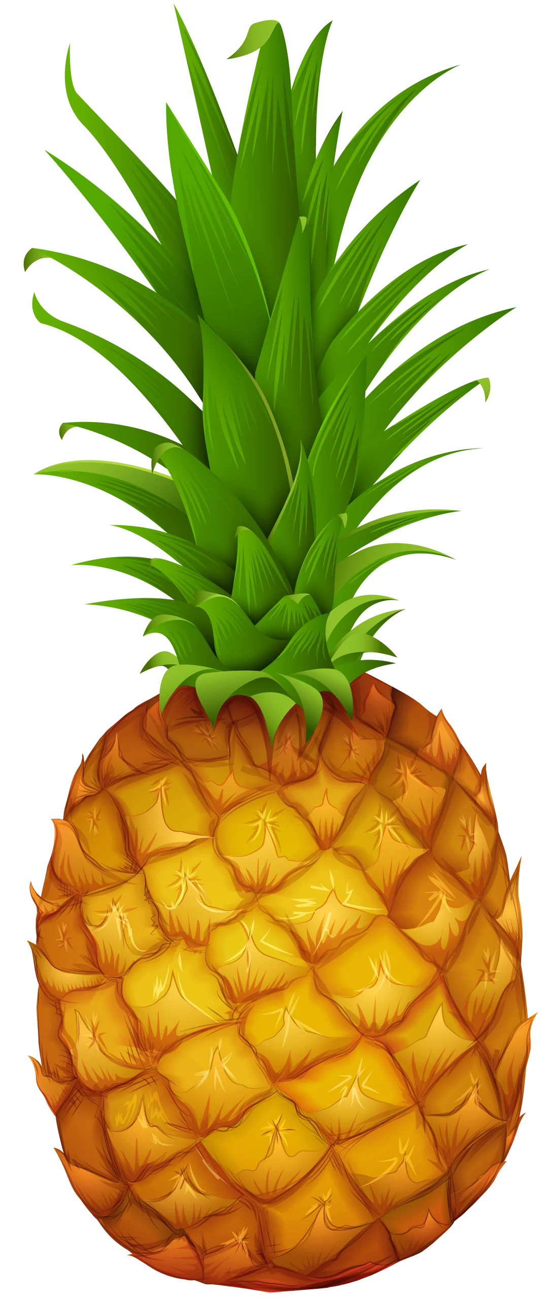Realistic Tropical Pineapple Clipart with Detailed Golden-Green Texture