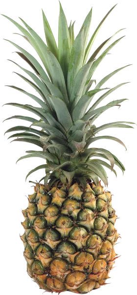 Realistic Tropical Pineapple Clipart with Textured Golden-Green Surface