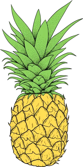Tropical Sunshine Delight: Hand-Drawn Pineapple Clipart Illustration