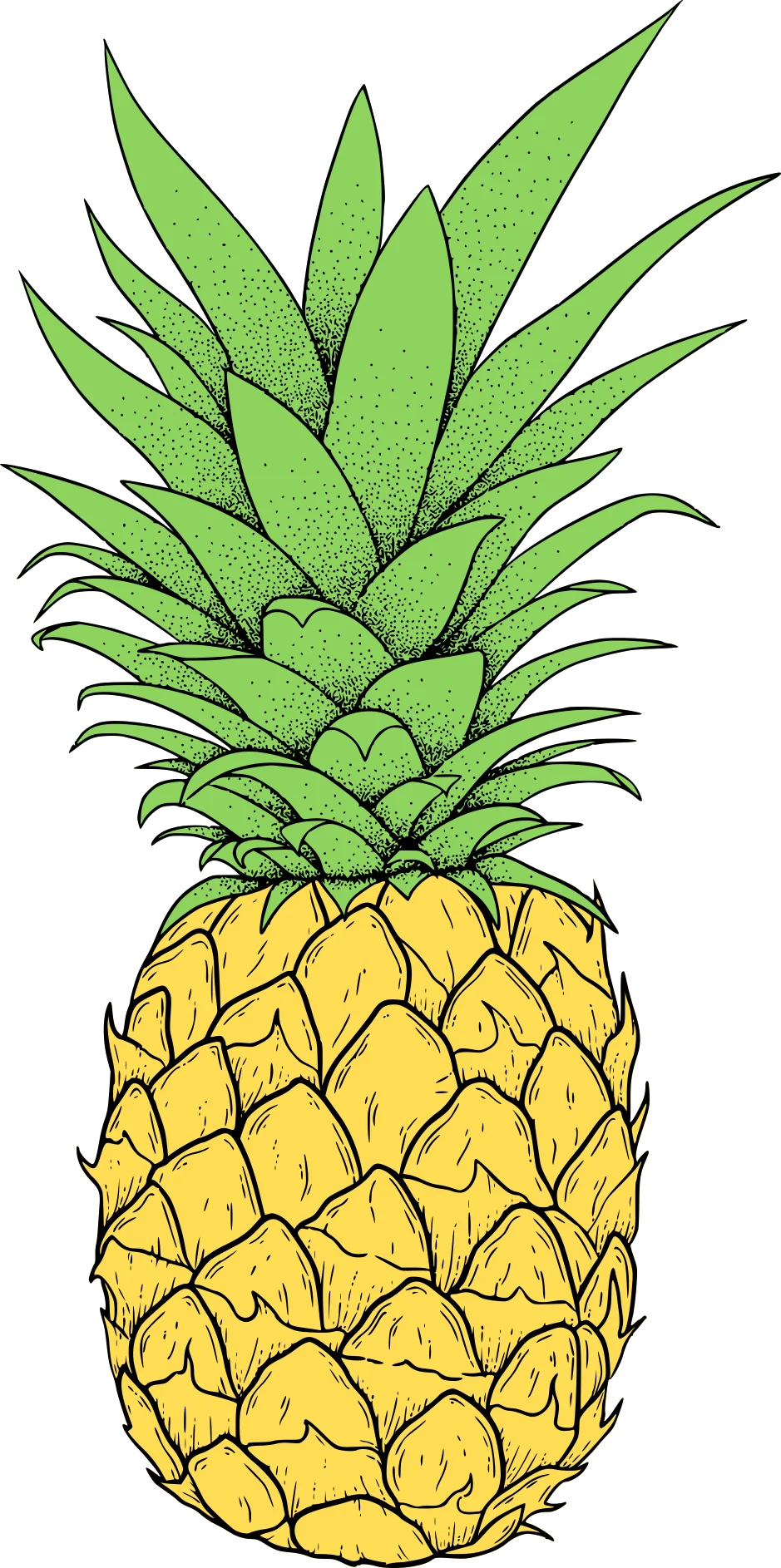 Tropical Sunshine Delight: Hand-Drawn Pineapple Clipart Illustration