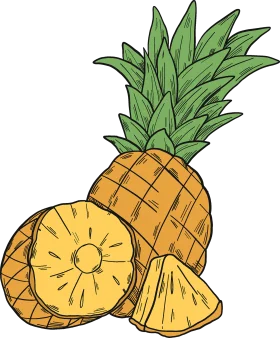 Tropical Sunshine Delight: Hand-Drawn Pineapple Clipart with Sliced Sections