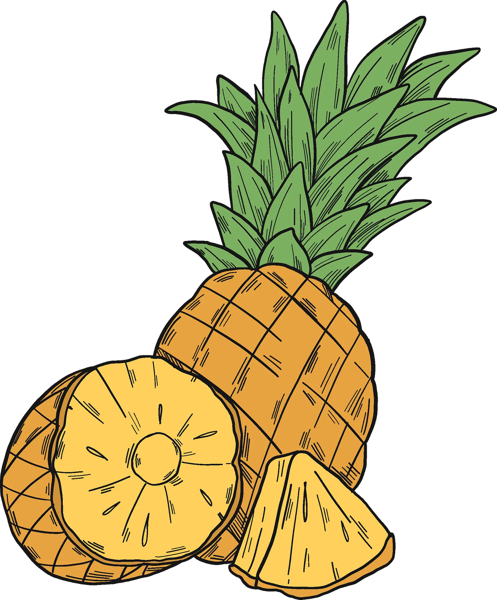 Tropical Sunshine Delight: Hand-Drawn Pineapple Clipart with Sliced Sections