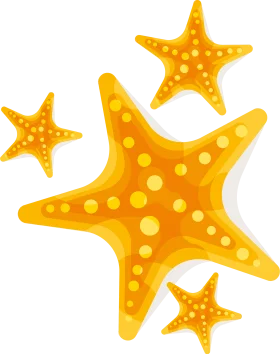 Cheerful Golden Starfish Clipart: Oceanic Marine Life Illustration Design