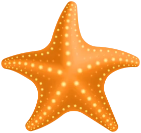 Cheerful Orange Starfish Clipart with Dotted Texture and Radiant Symmetry