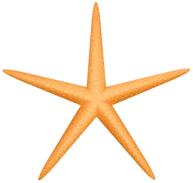 Elegant Golden Ochre Starfish Clipart with Symmetrical Five-Point Design