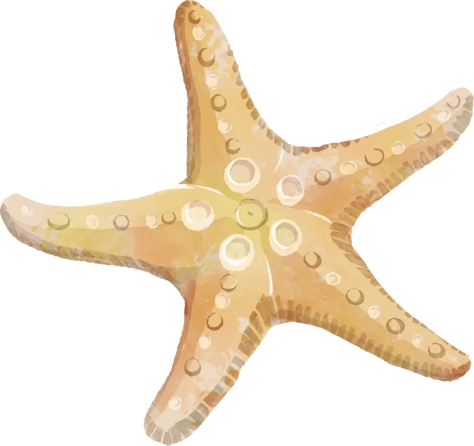Elegant Soft-Toned Watercolor Starfish Marine Clipart Illustration