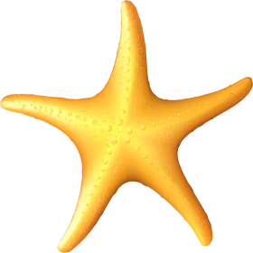 Golden Sunburst Starfish Clipart: Marine Life Illustration with Radiant Texture