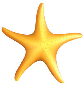 Golden Sunshine Starfish Clipart: Marine Life Illustration with Warm Tones