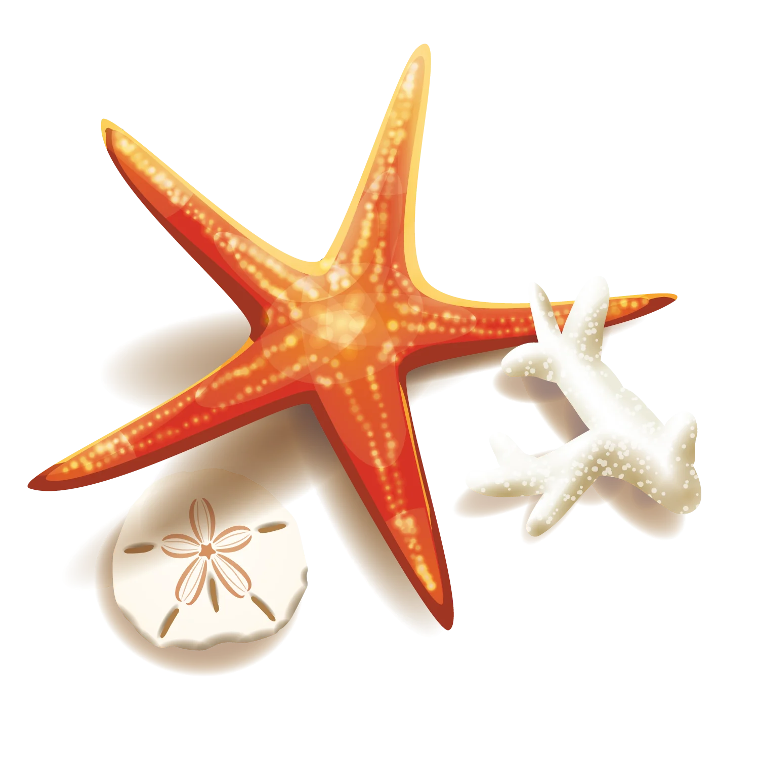 Radiant Orange Starfish and Sand Dollar Marine Life Clipart Collection