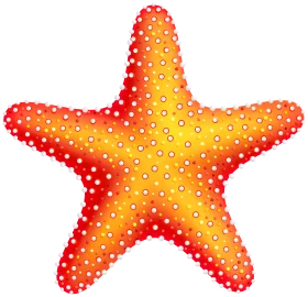 Radiant Red and Yellow Starfish Clipart Illustration with Dotted Texture