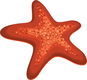 Radiant Red Starfish Clipart: Marine Creature with Textured Surface Design