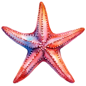 Radiant Watercolor Starfish Clipart: A Dazzling Marine Life Illustration