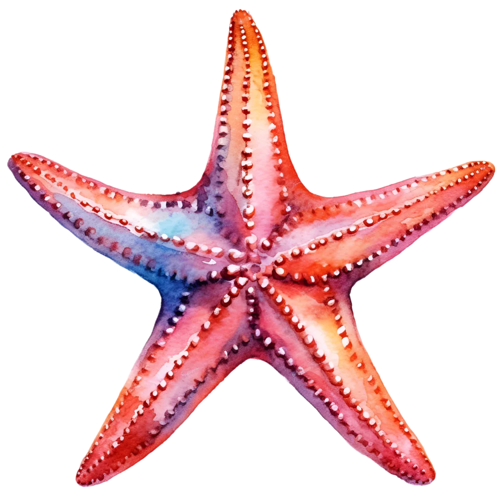 Radiant Watercolor Starfish Clipart: A Dazzling Marine Life Illustration