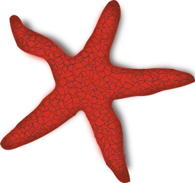 Vivid Red Starfish Clipart with Textured Surface and Symmetrical Design
