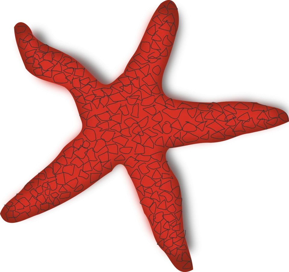 Vivid Red Starfish Clipart with Textured Surface and Symmetrical Design