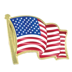 Waving United States Flag Patriotic Metallic Gold Border Clipart Design