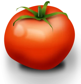 Fresh and Ripe Red Tomato Clipart Illustration with Glossy Surface
